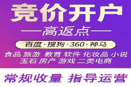 百度SEM广告投放效果评估的案例分析